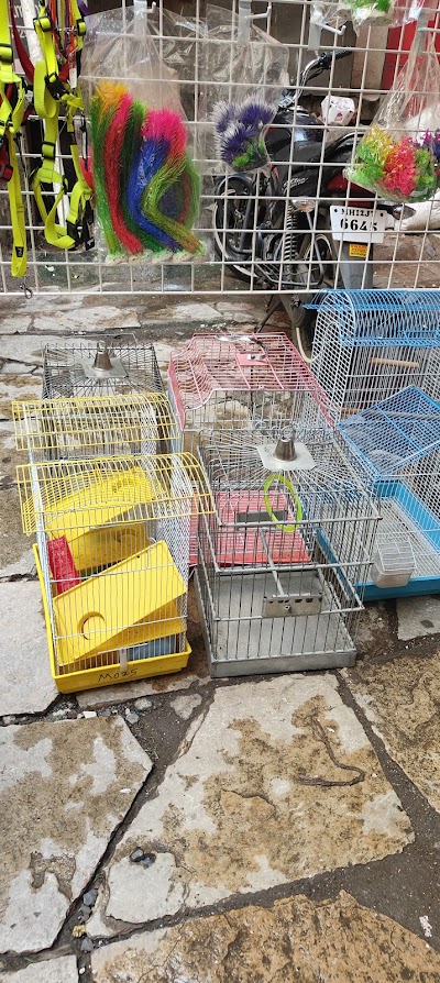 SHIVANSH PET STORE